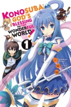 Konosuba God's Blessing on This Wonderful World Vol.1 (US)