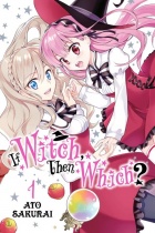 If Witch, Then Which? Vol.1 (US)