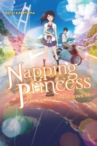 Napping Princess Novel (US)