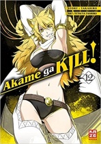 Akame ga KILL! 12