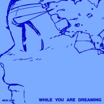 New Link - While You Are Dreaming (KR) PREORDER